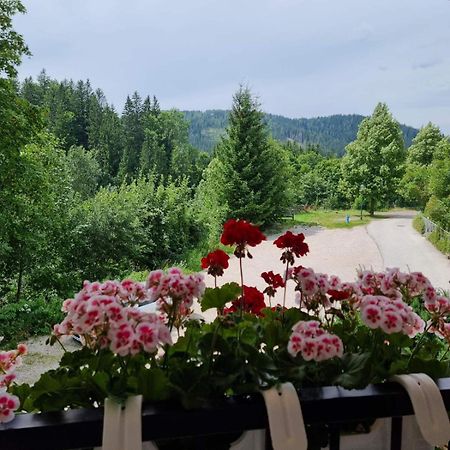 Haus Bierherr Mariazell Ngoại thất bức ảnh