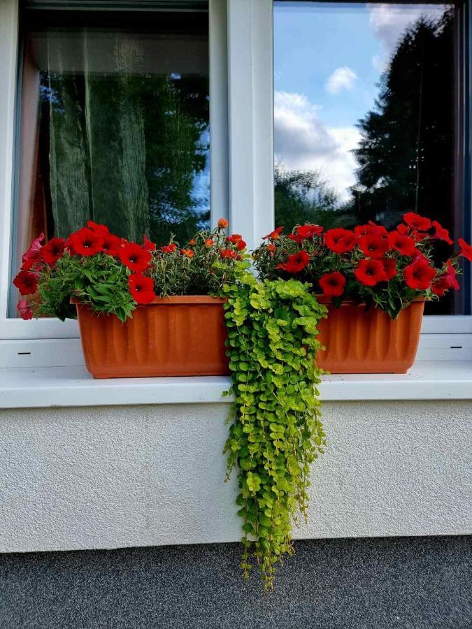 Haus Bierherr Mariazell Ngoại thất bức ảnh
